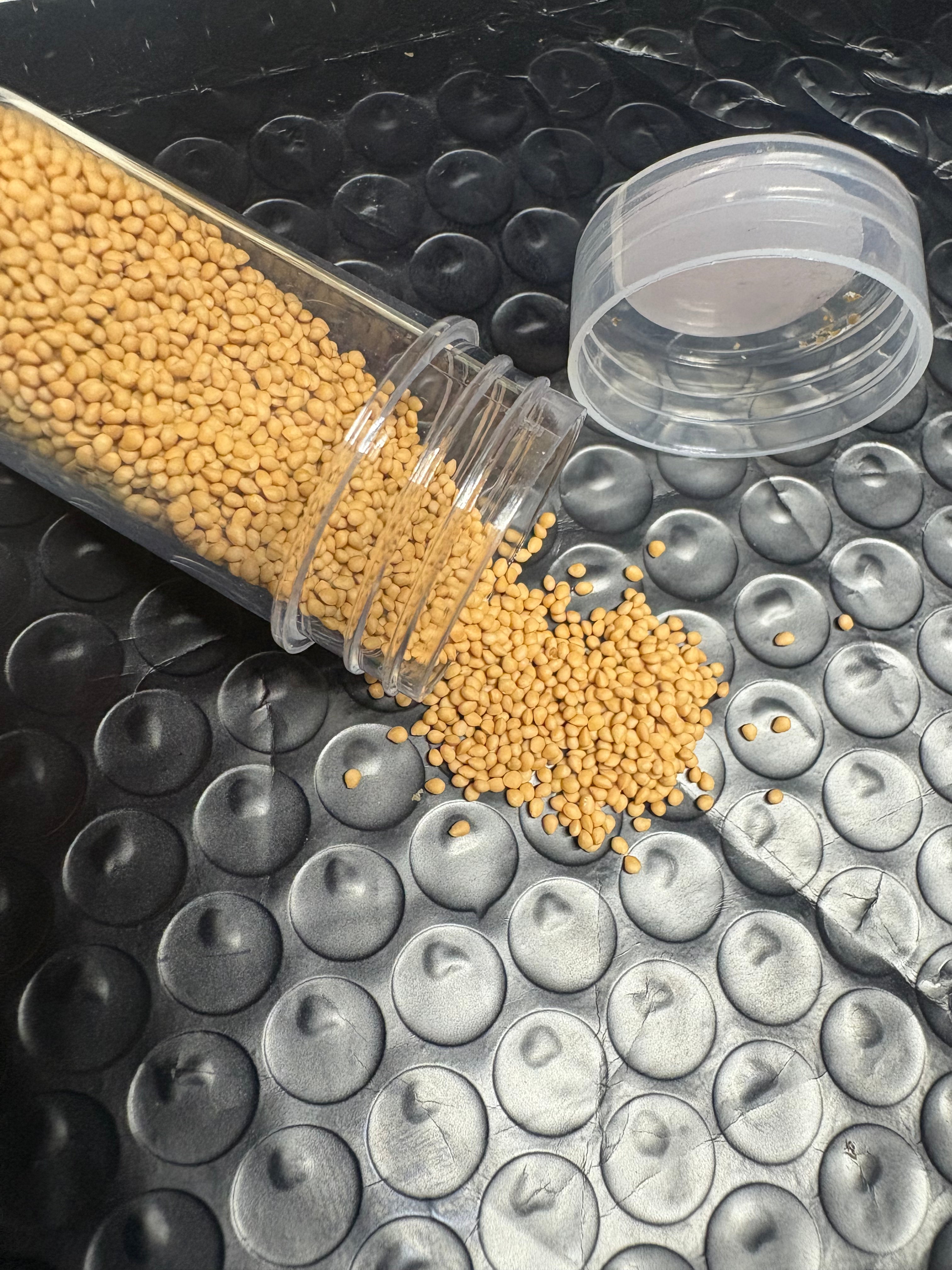 Fig Seeds Black Celeste